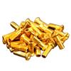HOSHI SPOKES Aluminum Nipples #14, 72 Pieces, Gold