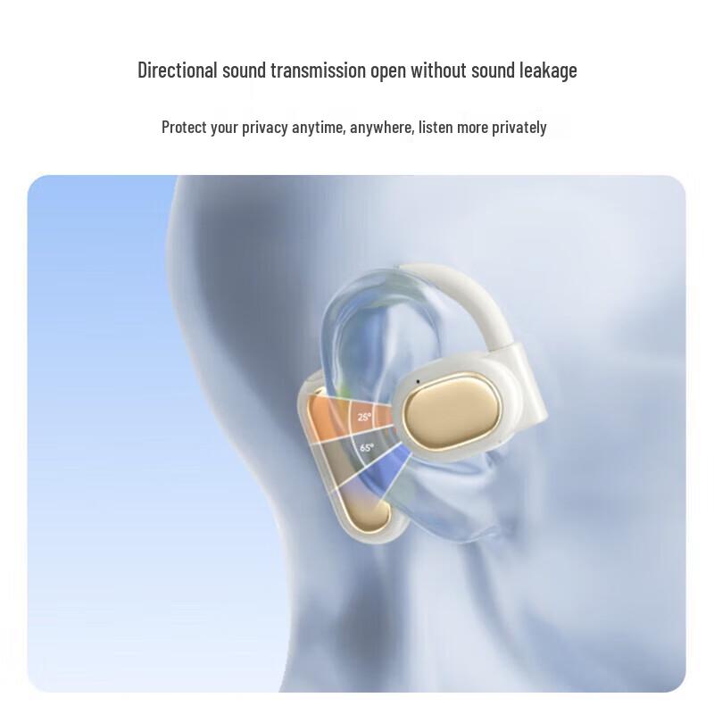 BIAZE D71 Wireless Sport Earbuds