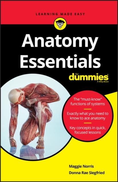 The Anatomy Essentials For Dummies Book