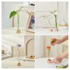 Glass Tube Vase with Wood Base Minimalist Flower Vase Single Stem Flower Vase for Flower Cuttings Home Table Centerpiece Office Desk