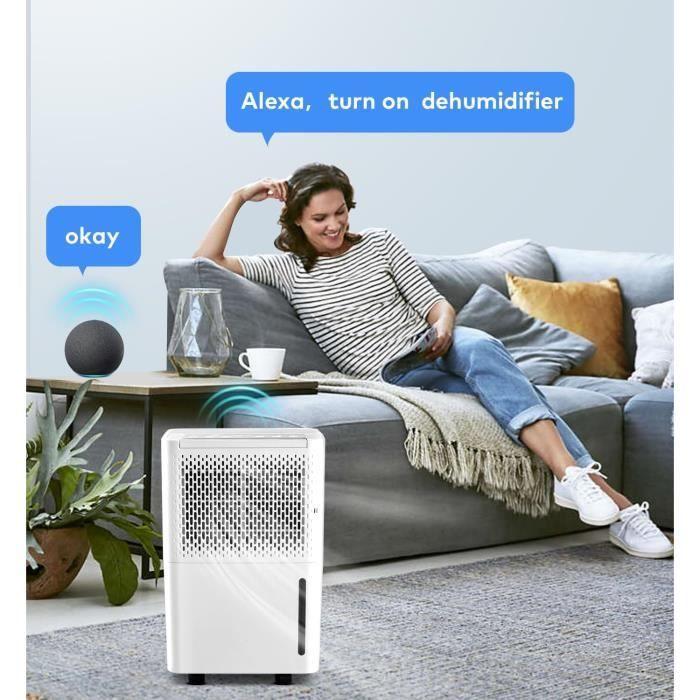 Pasapair Déshumidificateur Portable 12L Pour Des Pièces Jusqu'à 120m³20 M²,3 Modes,Affichage numérique,Capteur d'humidité,Arrêt