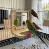 Wear Resistant Bird Perch with Mirror Bite Resistant Interactive Parrot Biting Rod  for Small Birds