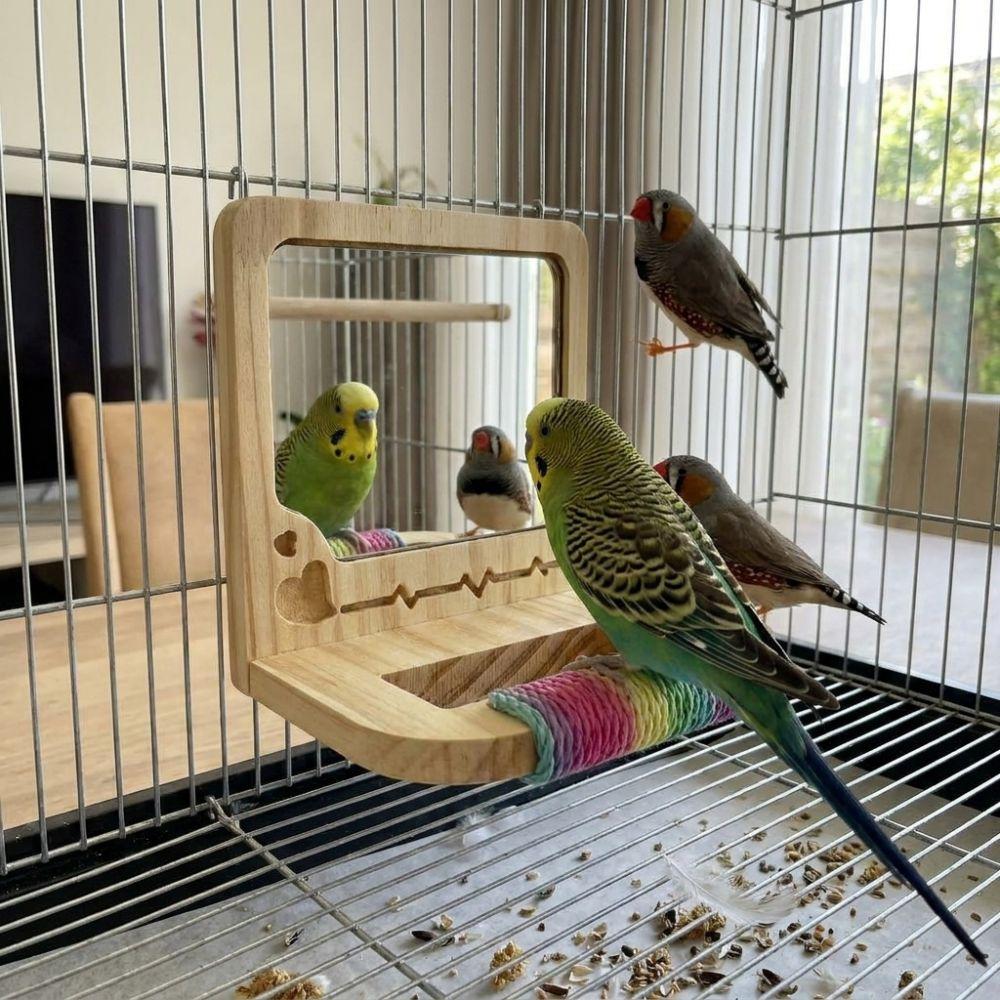 Wear Resistant Bird Perch with Mirror Bite Resistant Interactive Parrot Biting Rod for Small Birds