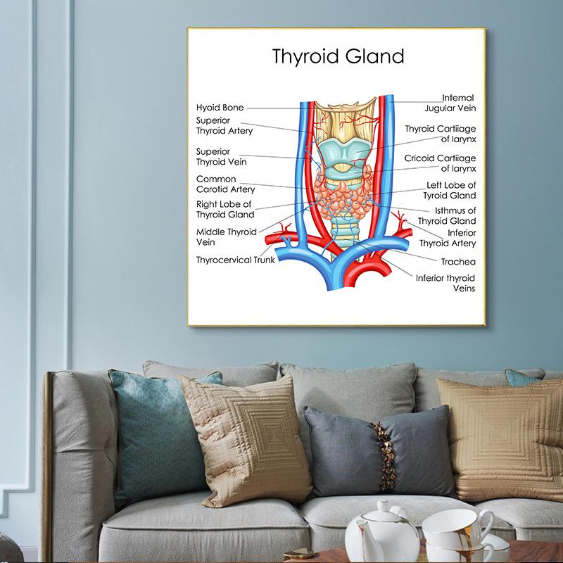 Human Organs Brain Liver Heart Anatomy Poster Print Canvas Painting Human Body Map Medical Classroom Office Room Home Decoration