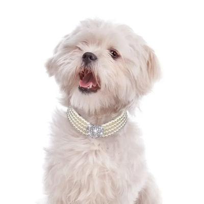 S/M/L 4 Rangées Chien Chat Collier Perles Strass Paillettes Cœur Décoration Collier Collier Animal Chiot Bijoux Accessoires