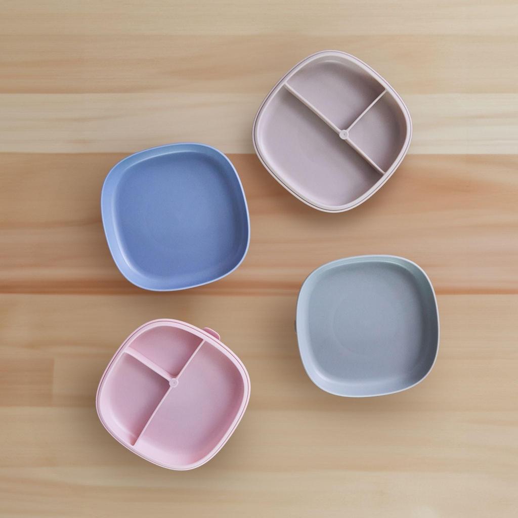 Suction Sage B.box (Bee Box) [2-in-1 Plate]