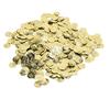 2000Pcs Belly Dance Coins Exquisite Sequins Pendants Clothing Accessories for DIY Costume Waist ChainsGolden (Bird Coin)