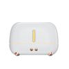 2023 USB Flame Humidifier: Large Mist Aromatherapy Machine for Home and Bedroom