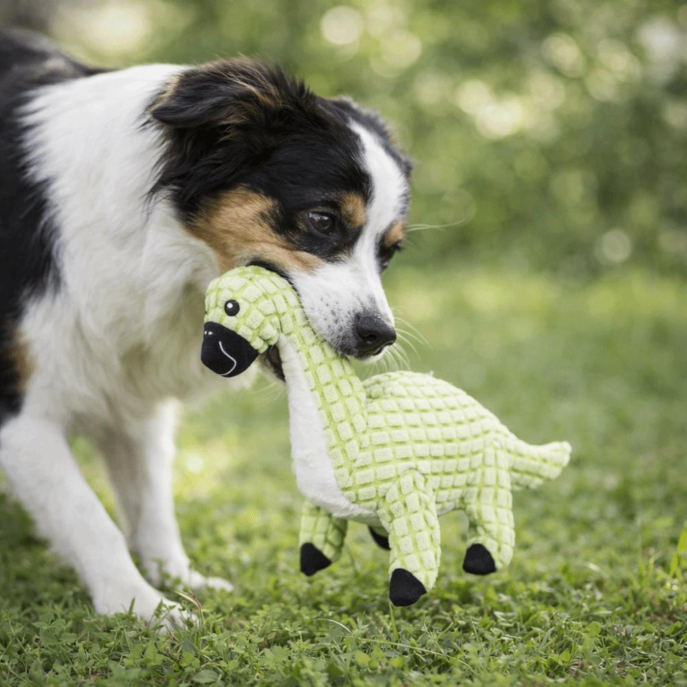 Dinosaur Shape Dog Chew Toys Bite-Resistant Puppy Molar Toy Dog Interactive Toys  Relieve Boredom