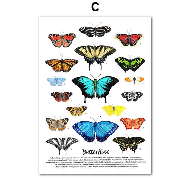 Insekten Vogel Schmetterling Safari Tier Bildung Poster Und Drucke Leinwand Kunst Kindergarten Wand Dekoration Hause Gemälde Baby Kinder Zimmer