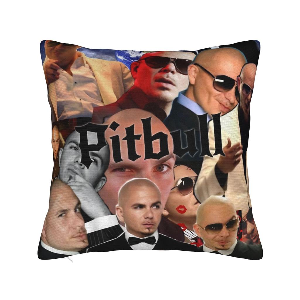 Decorative Pillowcase Singer Pitbull Tour Stuff Bed Throw Pillow Case Cover Square Style Multiple Sizes