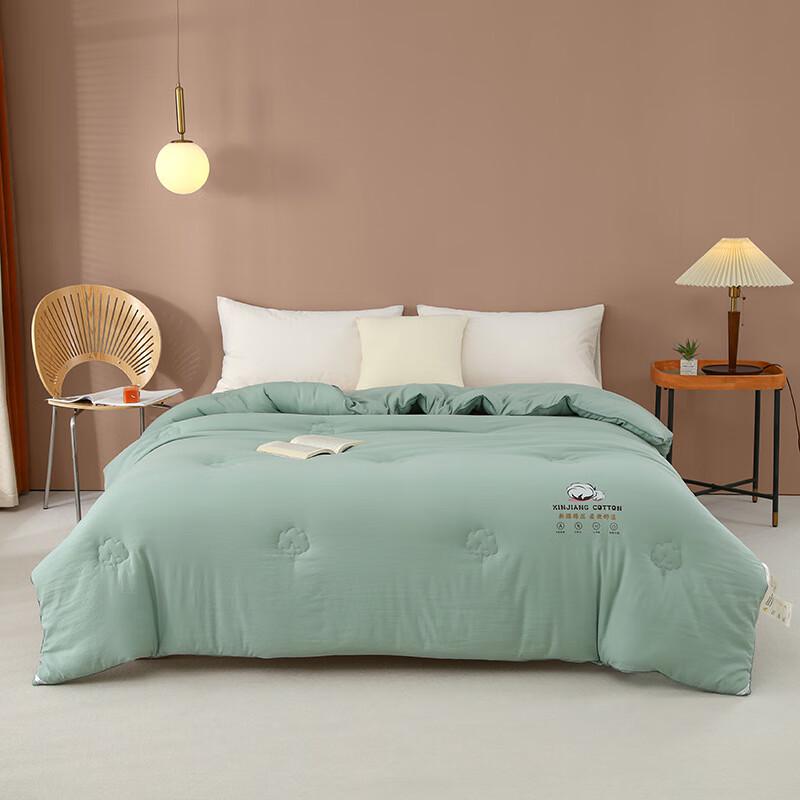 Xinjiang Long-Staple Cotton All-Season Duvet