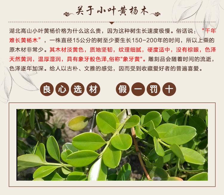 Rzeźba w drewnie Huangyang, drewno lite, figurka Sun Wukonga, rękodzieło Qi Tian Da Sheng, ozdoba do salonu