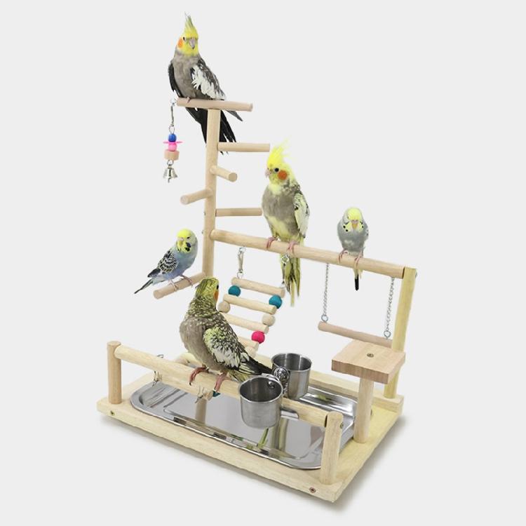 Vogelstange Sitzstange Papageien Spielständer Übungs Spielgymnastik mit Futterspender Übungs Aktivitätszentrum für Conure Nymphensittich Wellensittich