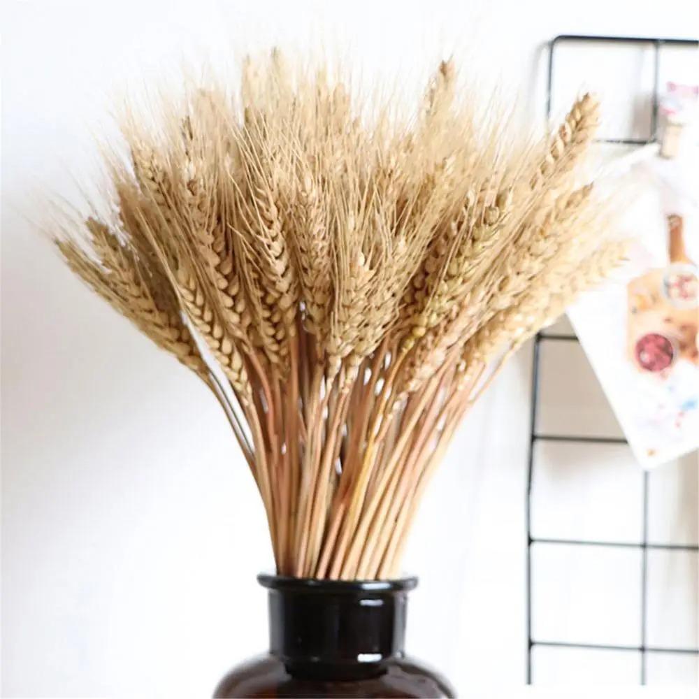 50pcs Natural Dry Wheat Spikes DIY Craft Dried Flowers Dried Wheat Stalks  Home Kitchen Decoration
