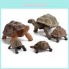 Childrens Pvc Land Turtle Model Static Figurine With Realistic Design For Collectors And Kids