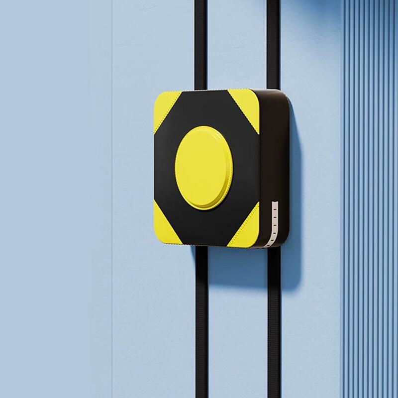 Wall-Mounted Boxing & Kickboxing Target