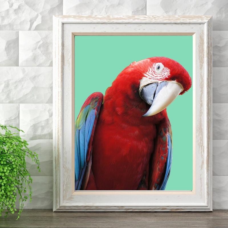 Colorful Parrot Poster Beautiful Bird Wall Art Animals Pictures Canvas Print Living Room Home Aesthetics Decor Painting Cuadros