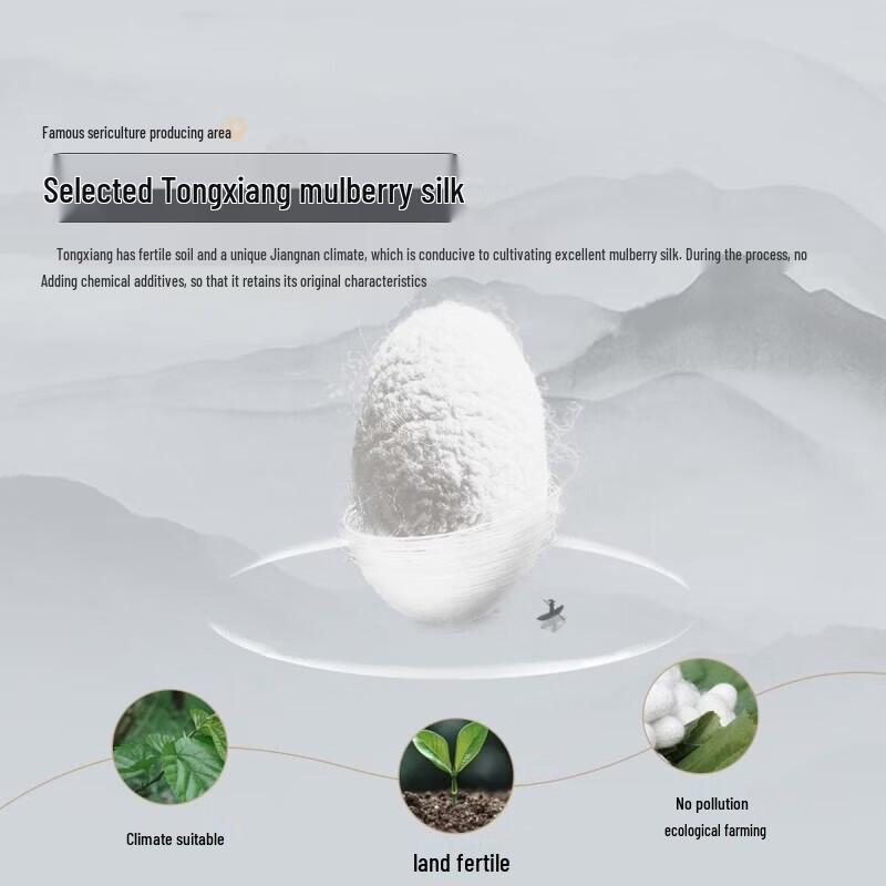 Mercury Textile 100% Mulberry Silk Class A Thick Winter Quilt