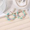 Original Bohemian Style Glass Seed Bead Winding Earrings for Women, Cute Little Earrings, Exquisite Handmade Tassel Rainbow