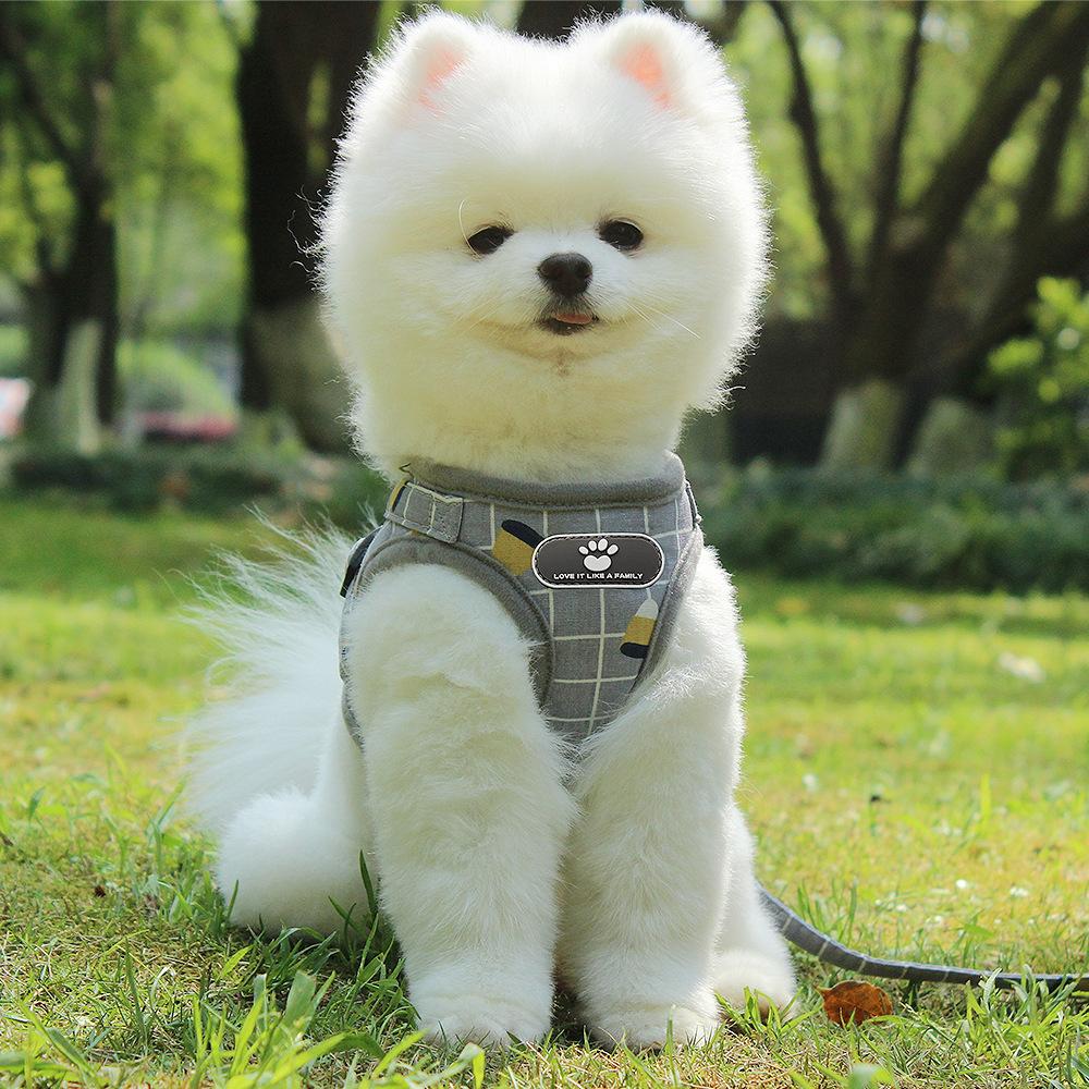 Pet Leash Dog Chest Strap Vest Anti-break Free Polyester Cat Cat Supplies Training Cat