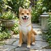 TanandWhite Dog Statue Fiberglass Akita Outdoor Canine Sculpture with Basket for Entryway
