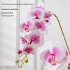 Luxusní realistická umělá květina Phalaenopsis pro svatby a domácí dekorace