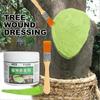 Pasta Sigillante per Ferite di Alberi Bonsai con Pennello