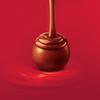 Lindt Lindor Milk Chocolate Pralines 100