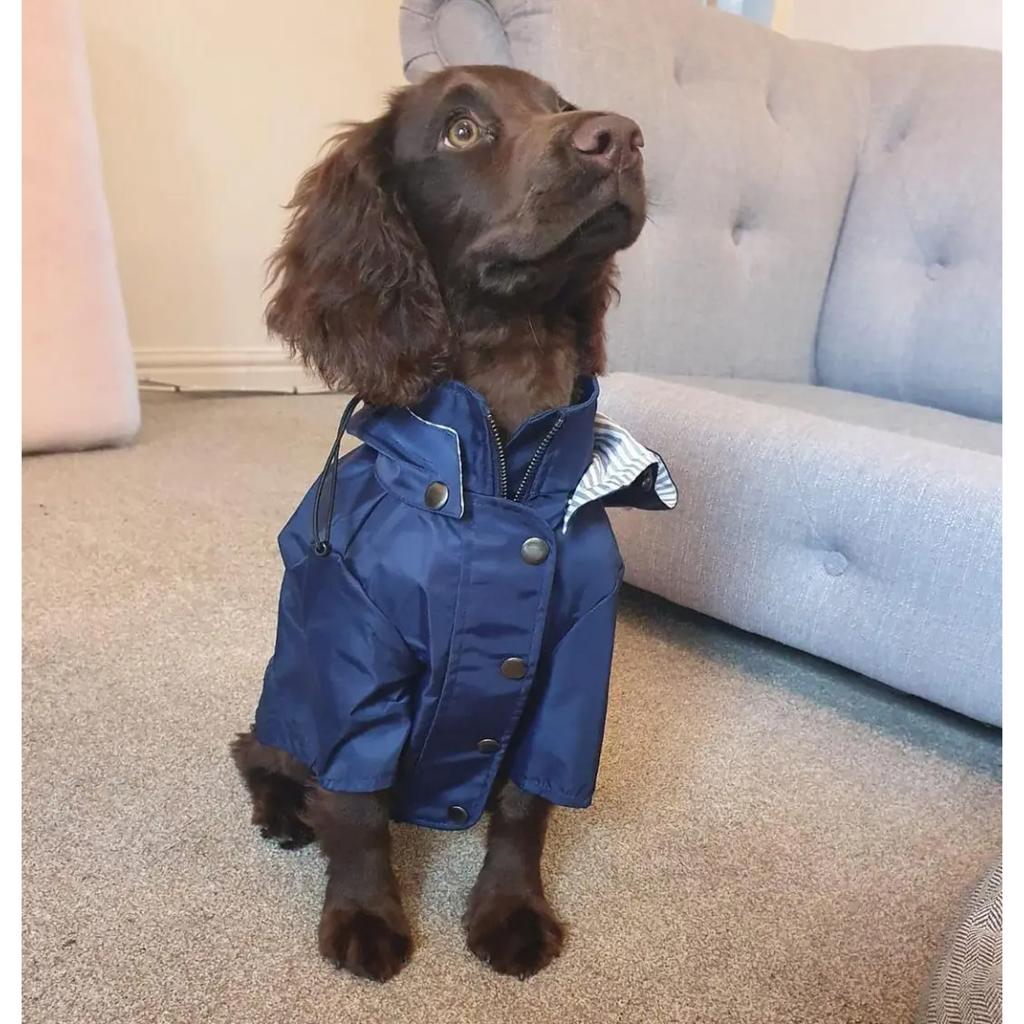 Fashion Multi Colors Dog Rain Coat Pet Waterproof Jacket S-5XL Medium Large Dog Clothing Hoodies