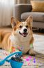Pet Bounce Ball: Bite-resistant Electric Yo-yo Teaser for Dogs & Cats