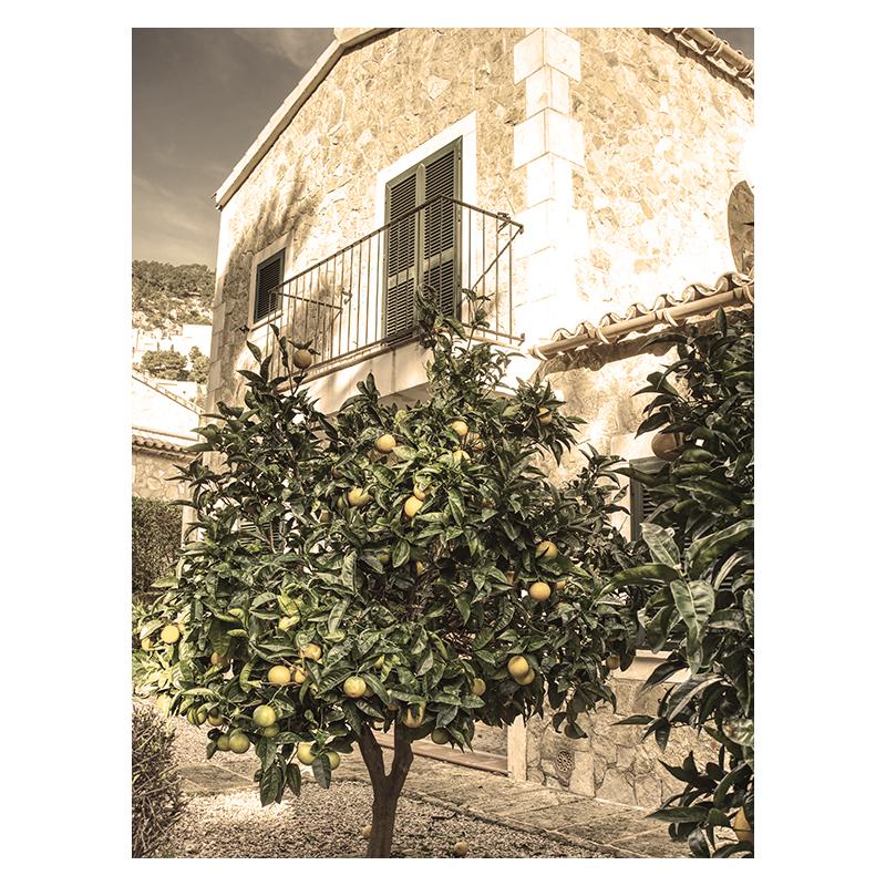 Casual Landscape Nordic Europe Town Canvas Picture House Beach Courtyard Sunlight Car Poster Lemon Bohemian Living Room Painting