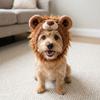 Skin Friendly Dog Plush Lion Hat Funny Cat Costume Headwear Pet Decor Headgear  Birthday Gift