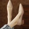 Fashion Women's Coarse Heel Shoes Spring New Pointed Head Shallow Mouth Soft Sole Waterproof Non-slip Low-top Shoes