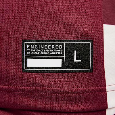 Nike Dri Fit Basketball Jersey Men's Team Paste Red