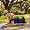 Adjustable Strap Disabled Dog Scooter Wear-Resistant Dog Wheelchair  Elderly Pet