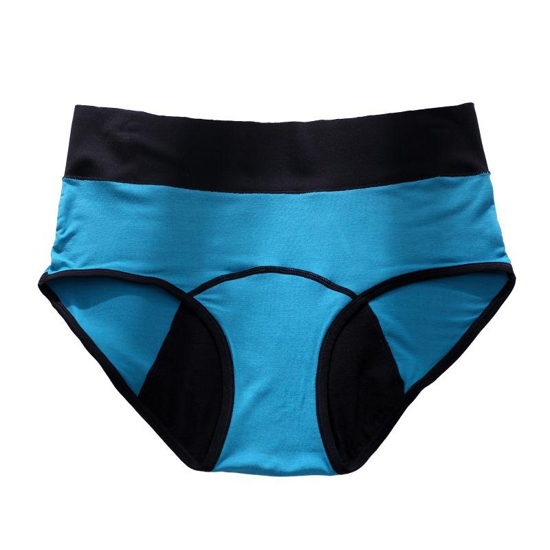 Women Comfortable Briefs Elastic Panties