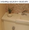 Miniature Interior Greenery - Artificial Plants (Eucalyptus, Air Plants, and Fan-Shaped Greenery) - 3-Piece Set