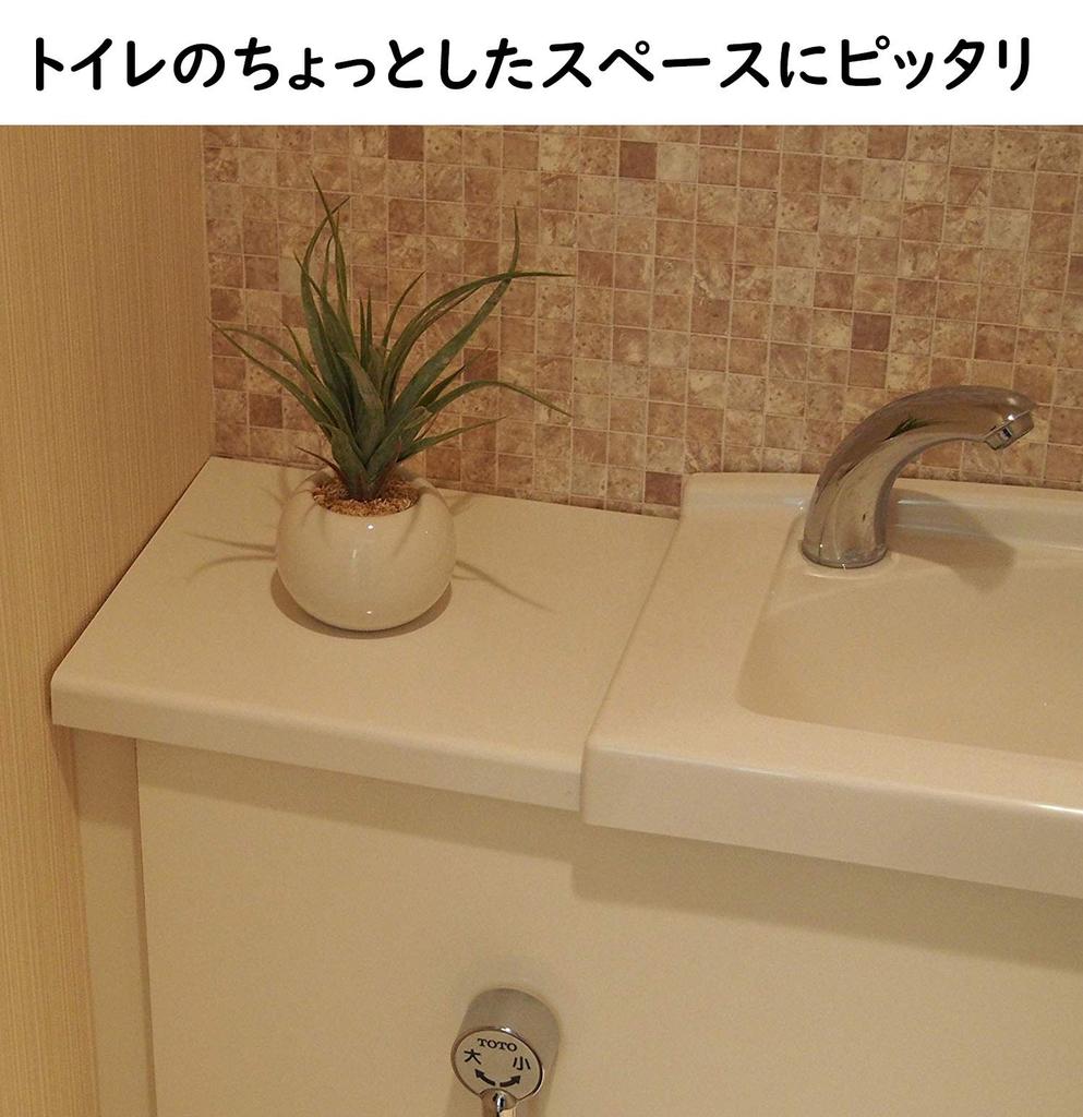 Miniature Interior Greenery - Artificial Plants (Eucalyptus, Air Plants, and Fan-Shaped Greenery) - 3-Piece Set