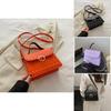 Chic Street Style 2024 Latest Spring Casual Crossbody Handbag Single Shoulder Small Square Bag