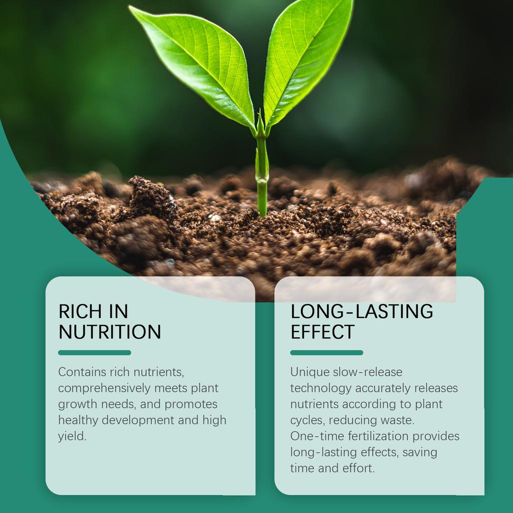 Plant Growth Fertilizers Stick for Healthy Indoor & Outdoor Gardening Easy To Use Continuous Release Full Nutrition