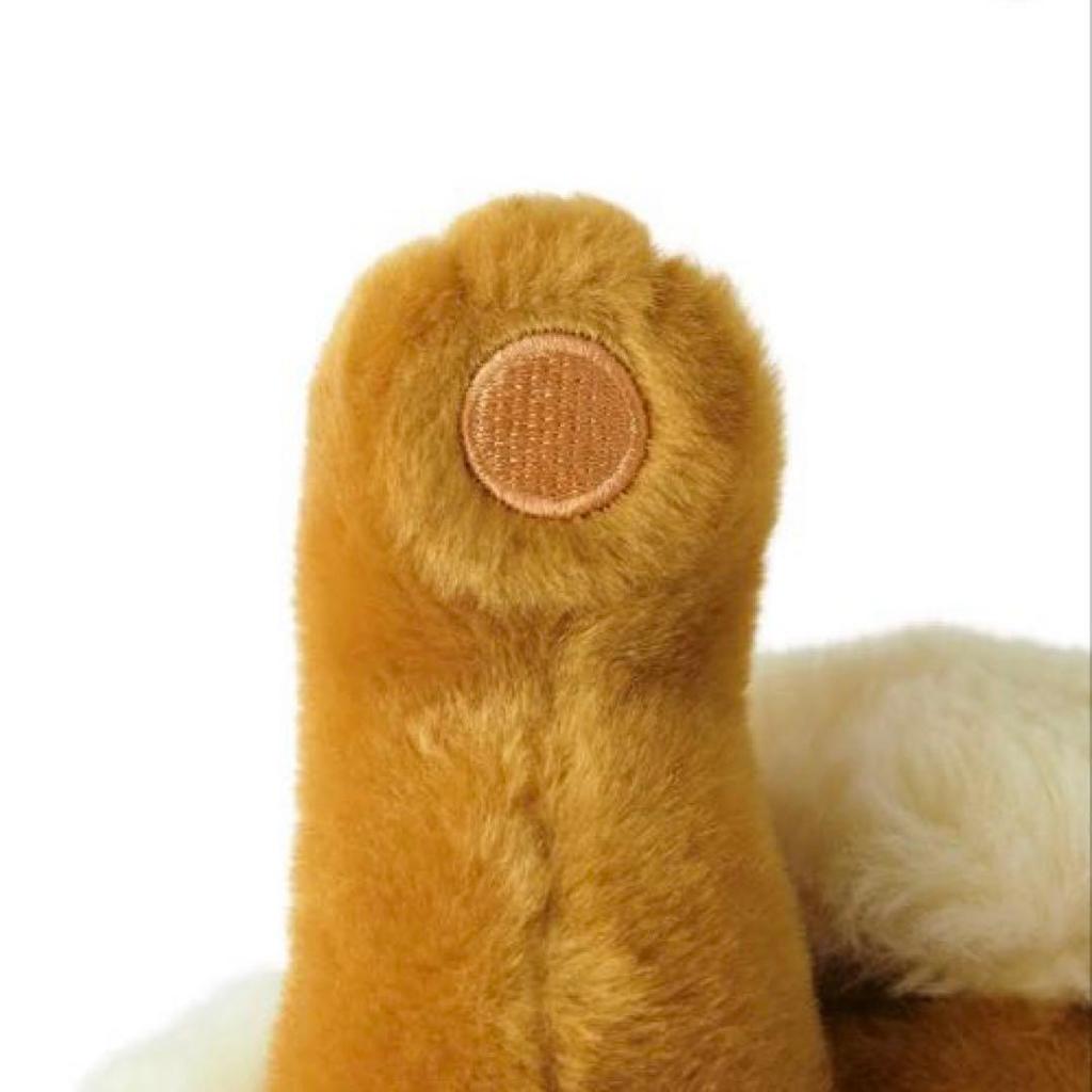 [USED] Birthday Box Plush Toy Life-Size Eevee Lying Down with Bonus Included Pokemon