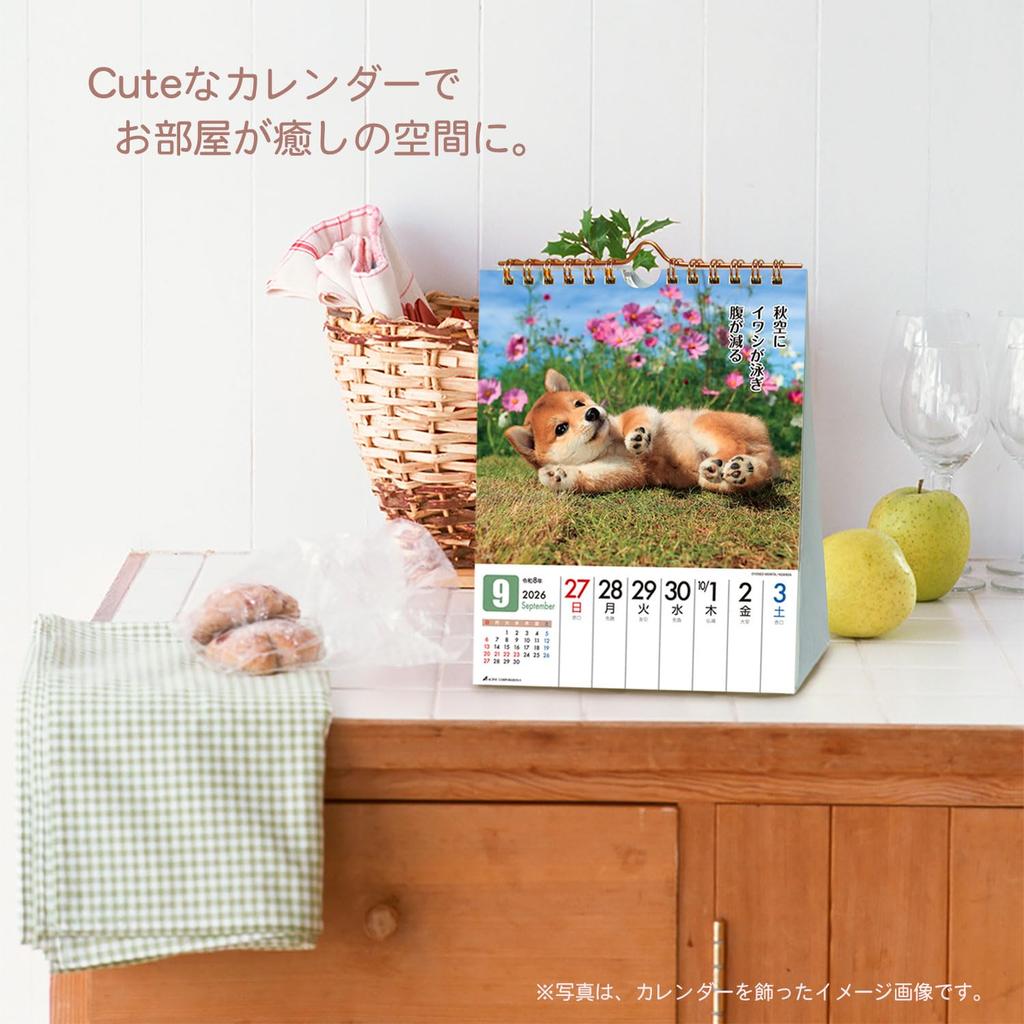 Active Corporation 2026 Desk Calendar Starts January 2026 (Because it's Shiba) 26ACL-566