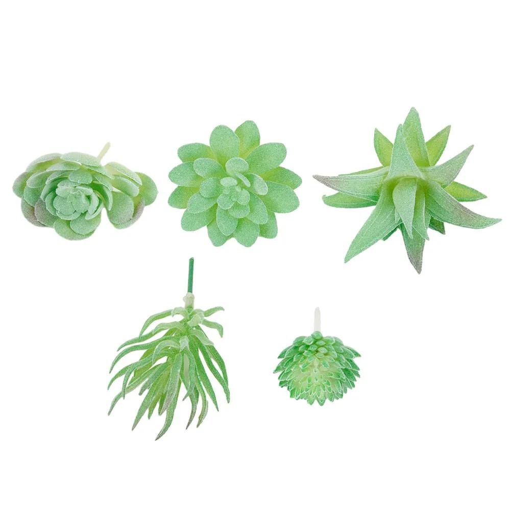 Artificial Succulents Plant Artificial Plant Vibrantly Colored Plastic Plants For Exhibition And Cafe Decoration 5pcs