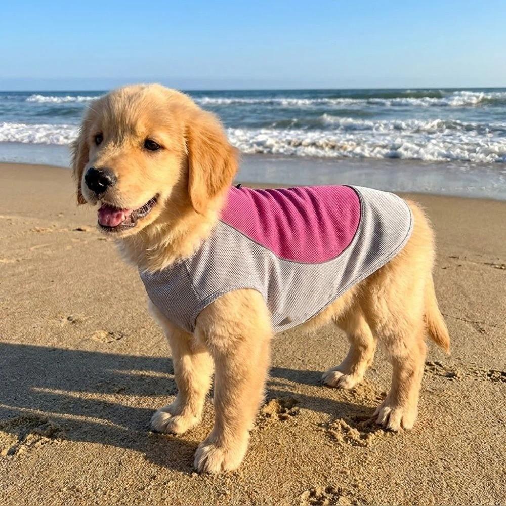 Breathable Mesh Pet Cooling Shirt Sun Protection Dog Ice Cool T-shirt Outdoor Walking Dog