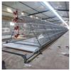 Layered Broiler Farm Equipment: Fully Automatic 3D Broiler Chicken Cages with Cleaning System