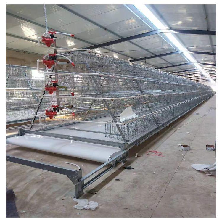 Layered Broiler Farm Equipment: Fully Automatic 3D Broiler Chicken Cages with Cleaning System