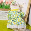 Spot new fly-sleeved skirt Amazon cotton pet clothes, spring and summer new models, teddy bear puppy cat clothes