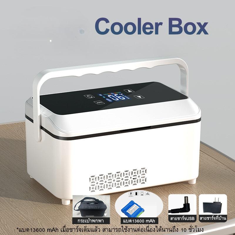 Cooler Box Portable Refrigerated Box Mini Constant Temperature Refrigerator