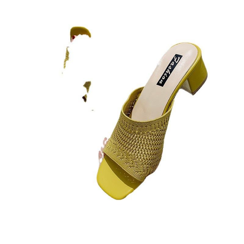 Medium heel cool slippers women's 2025 summer new Korean version of flying woven outer wear one word fashion women's cool slippers